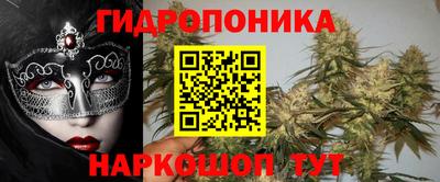 дмт Гусев
