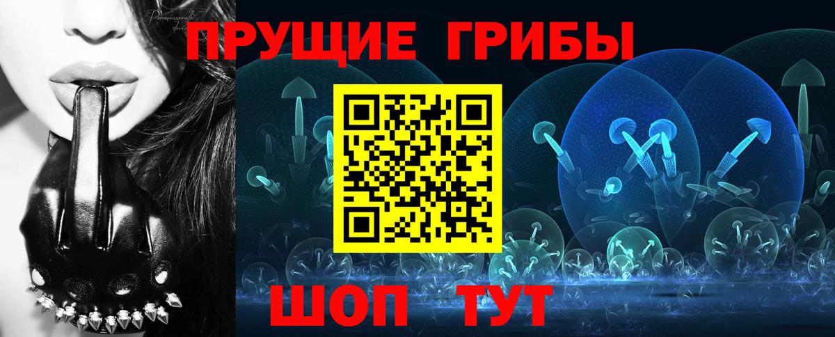 Псилоцибиновые грибы Psilocybe  Вход с VPN  купить  цена  Мурманск 